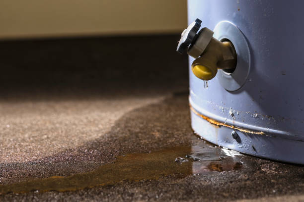 Best Water damage restoration experts  in Picture Rocks, AZ