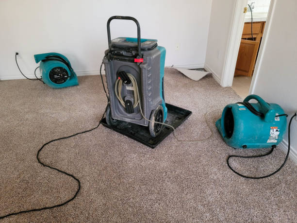 Best Mold removal after water damage  in Picture Rocks, AZ
