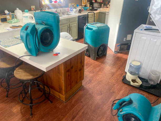 Best Ceiling water damage repair  in Picture Rocks, AZ