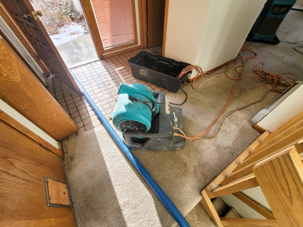 Best Water damage cleanup near me  in Picture Rocks, AZ