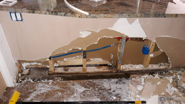 Best Water damage restoration near me  in Picture Rocks, AZ