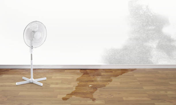 Best Flood restoration services  in Picture Rocks, AZ