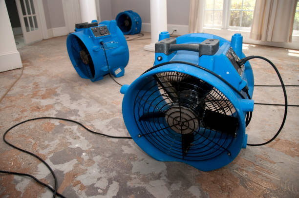 Best Basement water damage restoration  in Picture Rocks, AZ