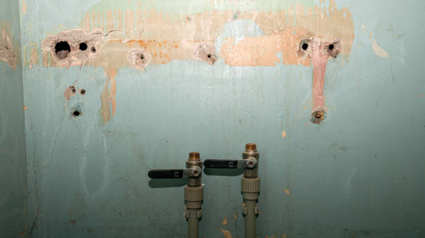 Best Water damage cleanup near me  in Picture Rocks, AZ