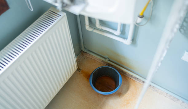 Best Water damage cleanup near me  in Picture Rocks, AZ