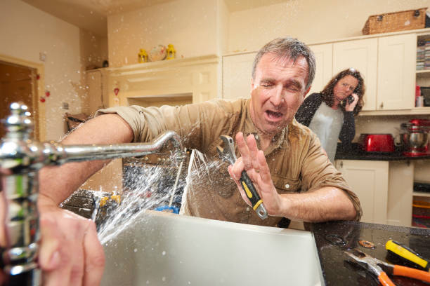Best Water damage restoration mold remediation  in Picture Rocks, AZ